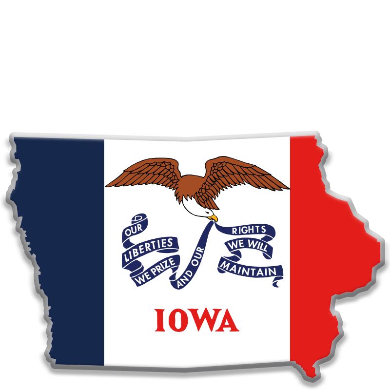 1.25"Wx.83"H IOWA PRINTED PIN