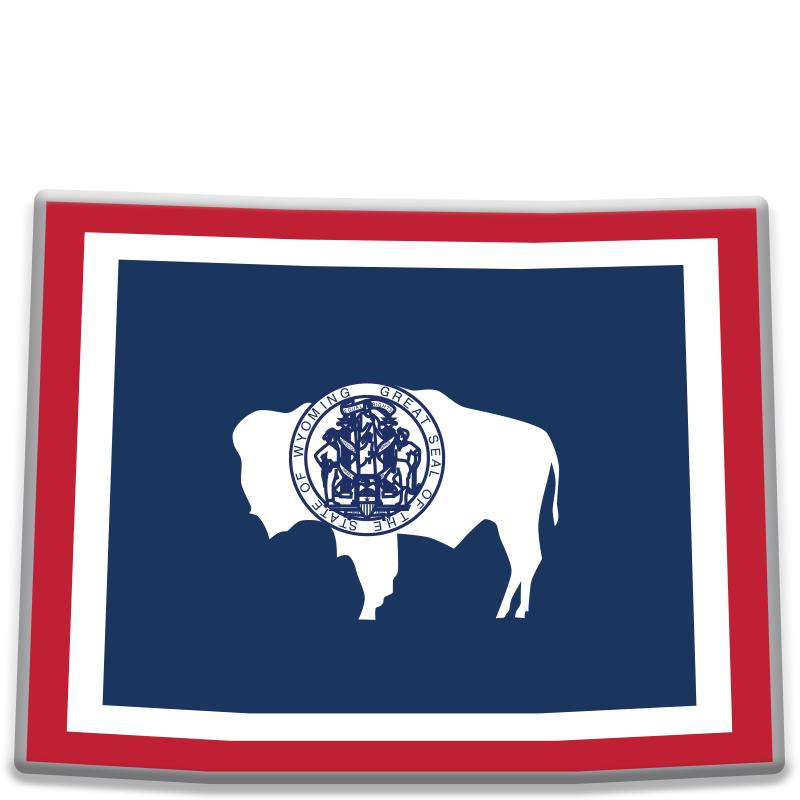 1.25"Wx1"H WYOMING PRINTED PIN