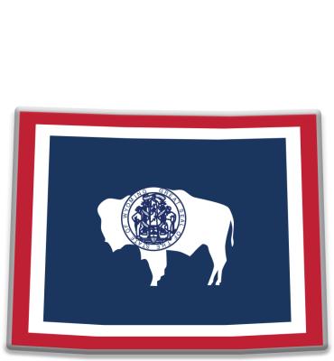 Wyoming State Flag Pin