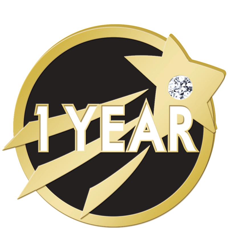 1"Wx.87"H 1YEAR STAR W/GEM PIN