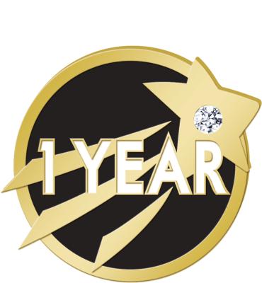 1 Year Star With Gem Achievement Pin