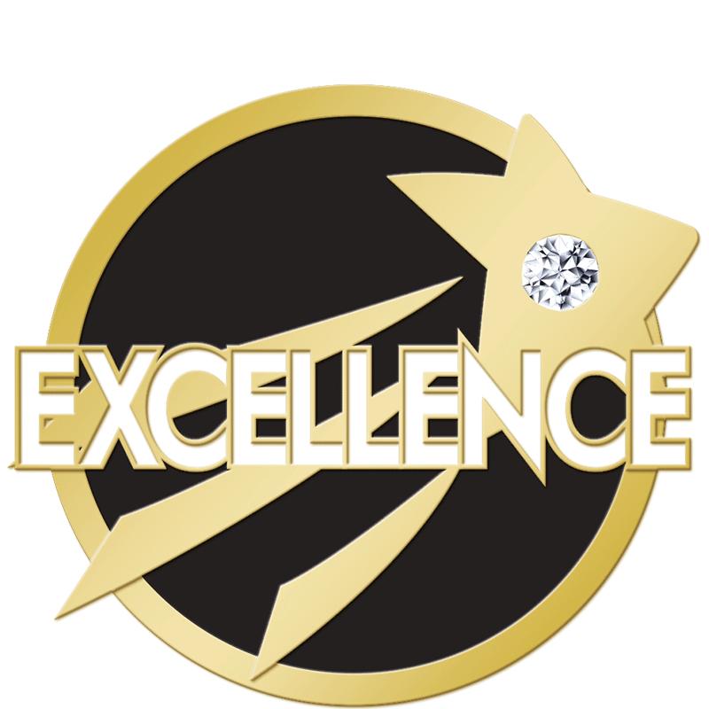 1"Wx7/8"H STAR/GEM EXCLNCE PIN