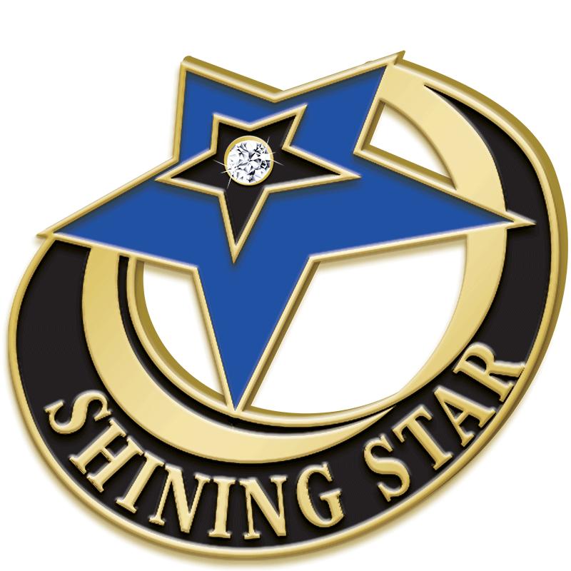 1"Wx1"H SHINING STAR PIN W/GEM