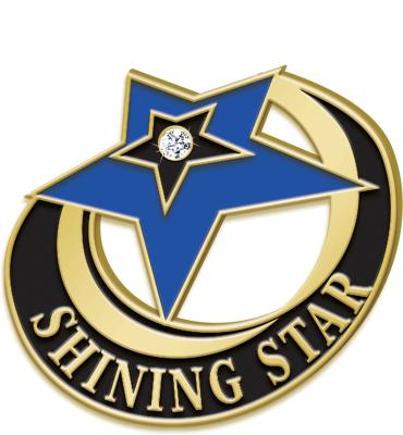 Shining Star Recognition Pin W/ Stone
