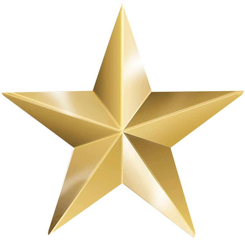 1.5" LARGE GOLD STAR PIN