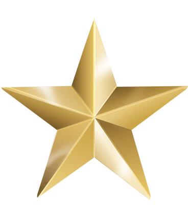 Large Gold Star Pin