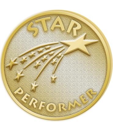 Star Performer-Motivational Pin
