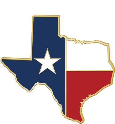 Texas State Flag Pin