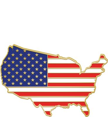 American Flag USA Pin