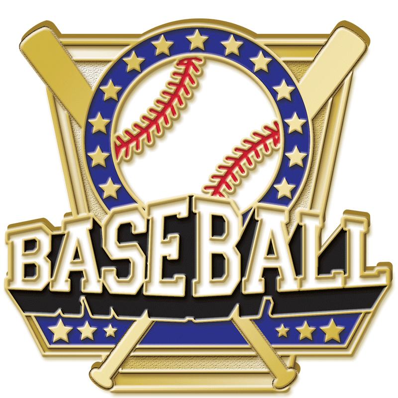 1"Wx1"H BB SHIELD TURF PIN