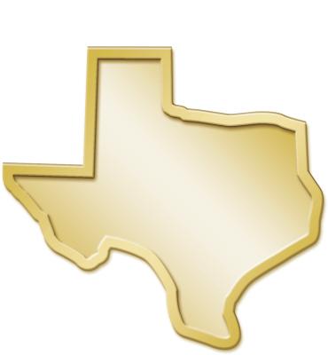 Texas State Pin