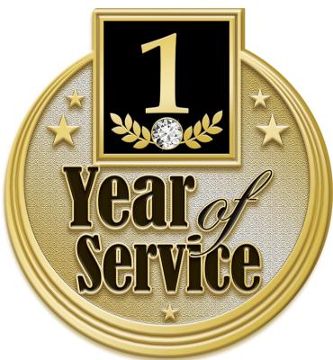 1 Year Service Pin