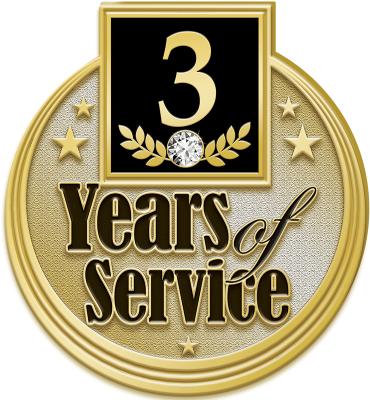 3 Years Service Pin