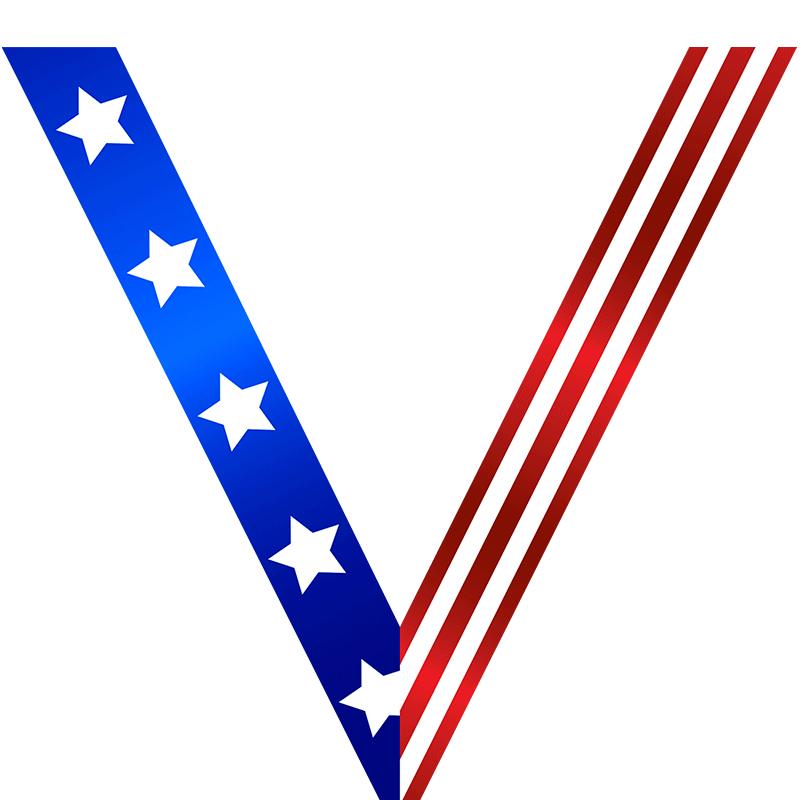 STAR SPANGLED SATEEN NECK RIBB