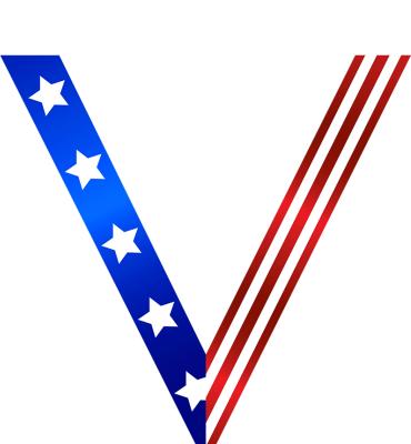 Star Spangled Sateen Neck Ribbon