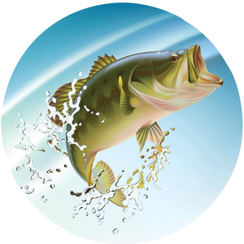 2" FISHING LARGEMOUTH BASS STK