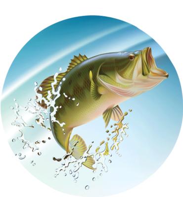 2" Fishing Large Mouth Bass Sticker