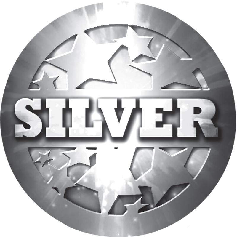 2" SILVER STARS STICKER