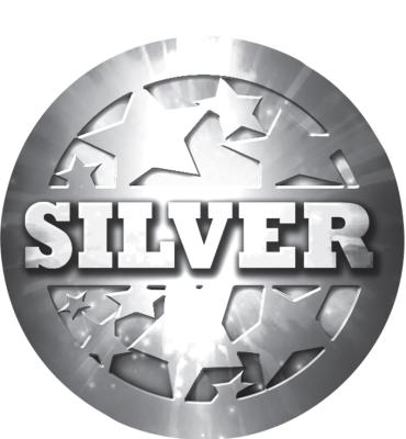 2" Silver Stars Sticker