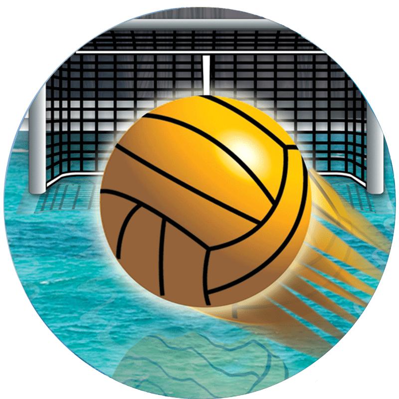 2" WATER POLO STICKER