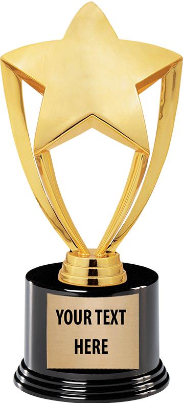 Star &amp; Achievement Safe Driver Trophies | 8&quot; Gold, Silver &amp; Black 