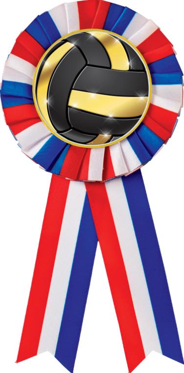 Color Insert Rosette Volleyball Ribbons  Red/White/Blue Rosette Volleyball  Ribbon