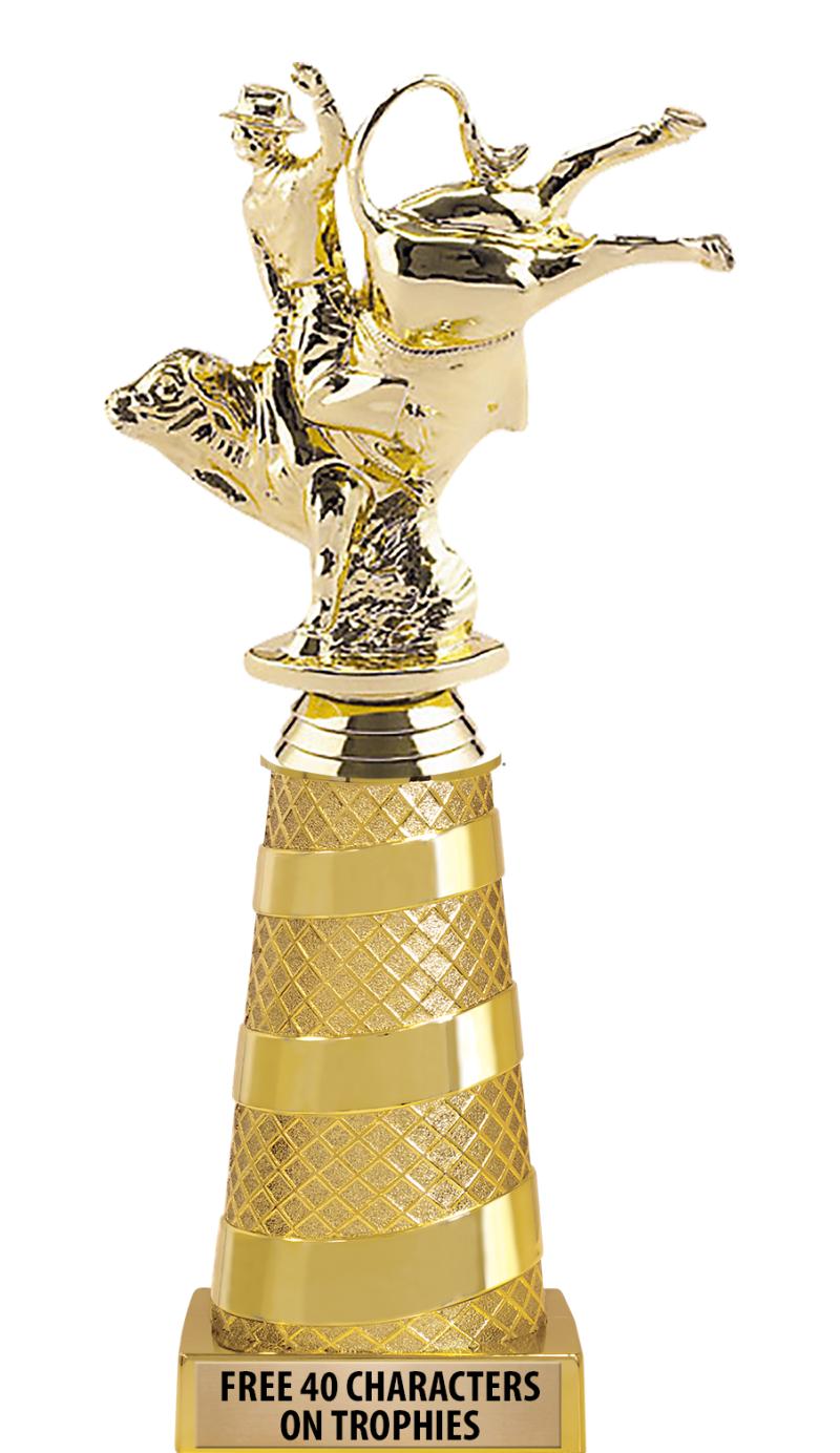 Rodeo best sale awards store