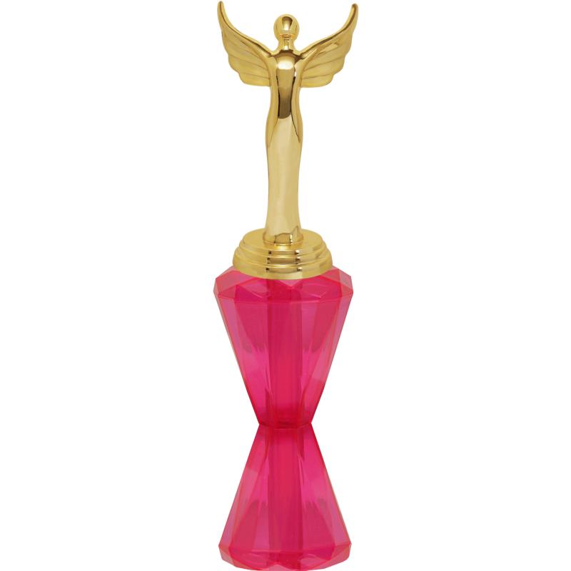 Computer Trophies – Crown Awards