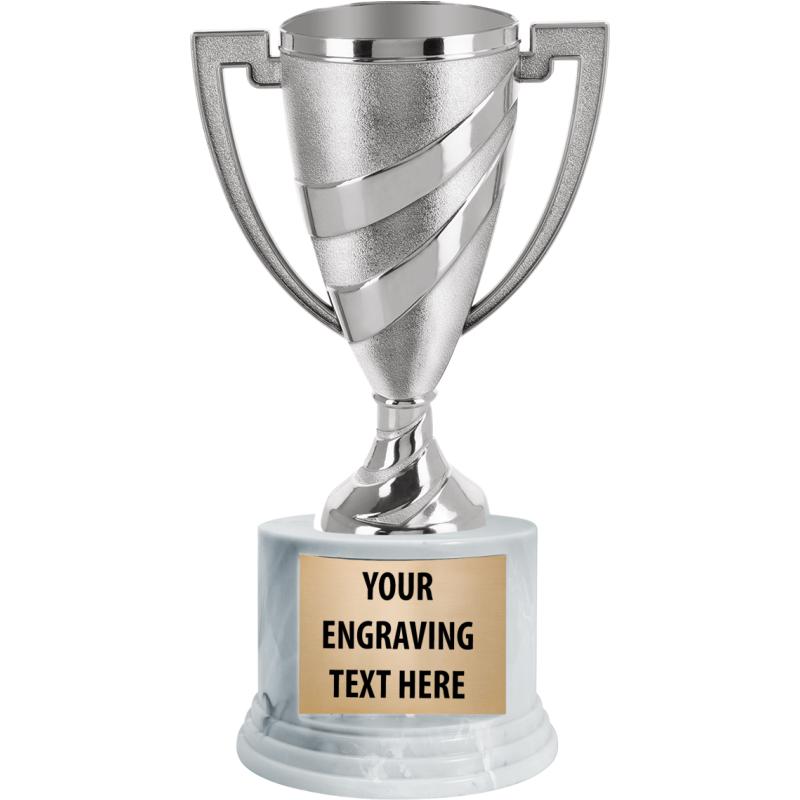 Computer Trophies | Computer Medals | Computer Plaques and Awards