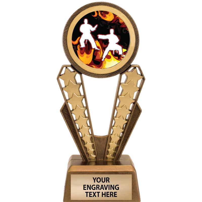 Mixed Martial Arts Trophies | Mixed Martial Arts Medals | Mixed Martial ...