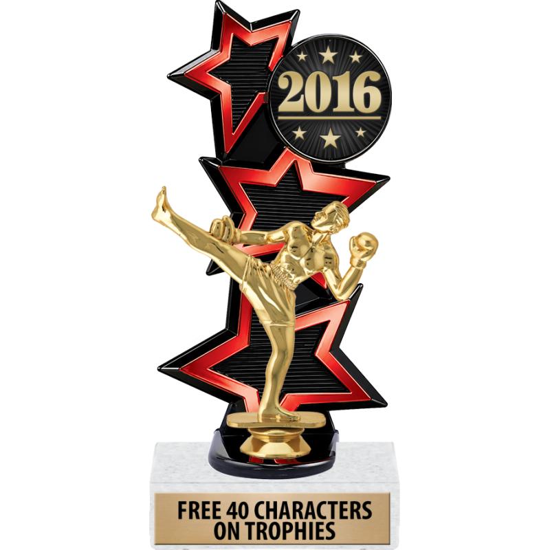 Kickboxing Raffle Kickboxing Trophies - Crown Awards