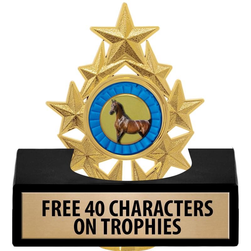 Rodeo Trophies | Rodeo Medals | Rodeo Plaques and Awards