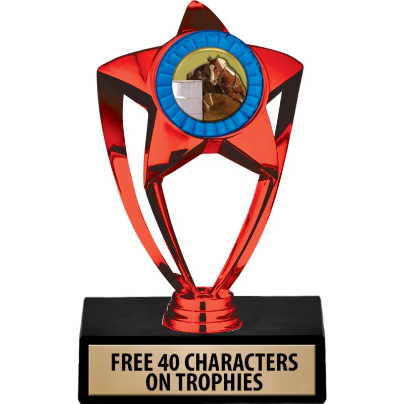 Rodeo Trophies | Rodeo Medals | Rodeo Plaques and Awards
