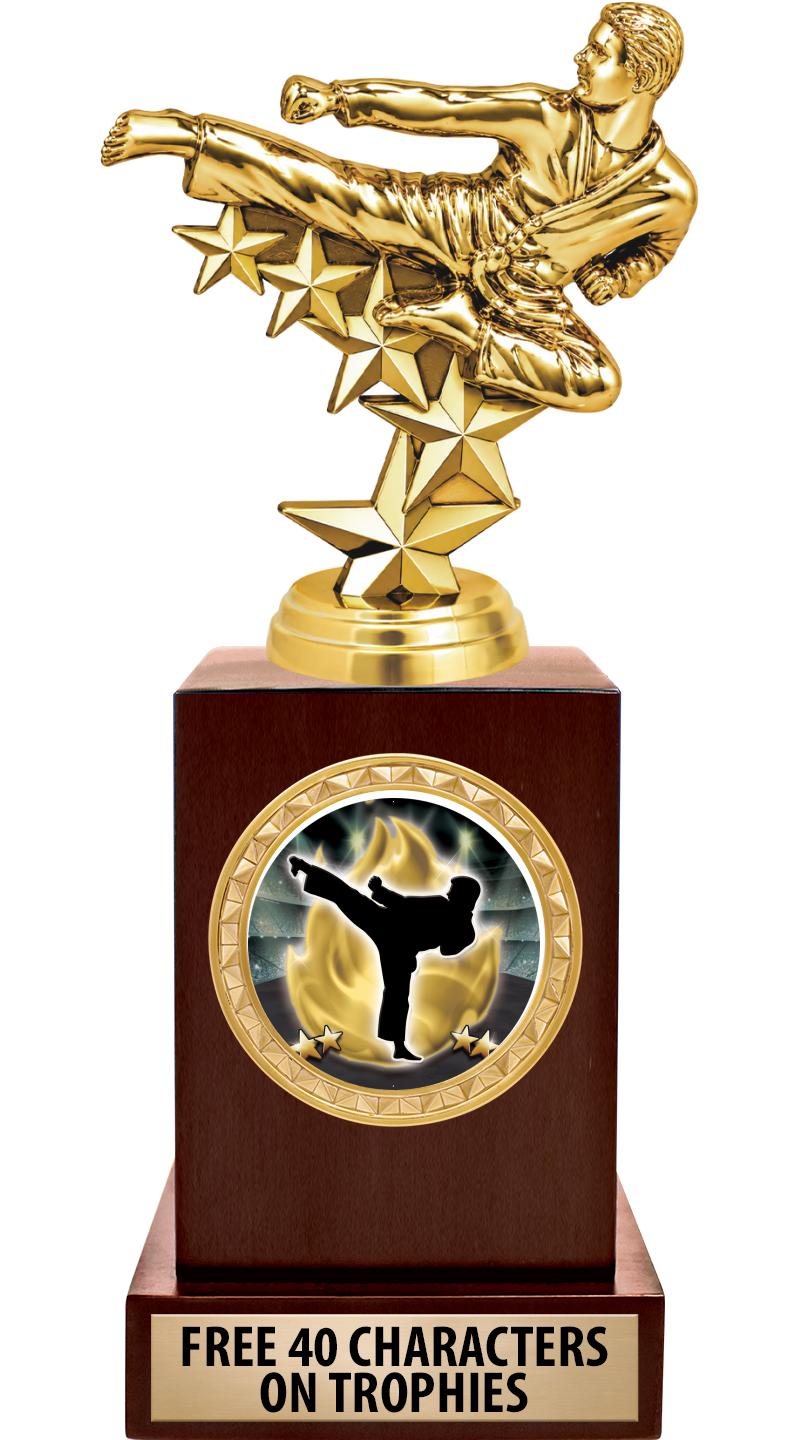 Trofeo Stella Per Arti Marziali (Karate, Judo, Taekwondo) 17cm – Incisione Gratuita! - Foto 3