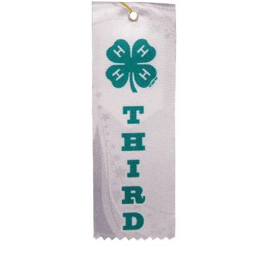 4rt Ribbon 4-H Ribbons | 4-H Third Ribbon