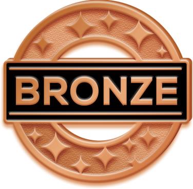 recognition pins bronze achievement