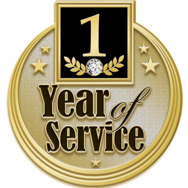 One Year Pin Years Of Service Pins | 1 Year Service Pin